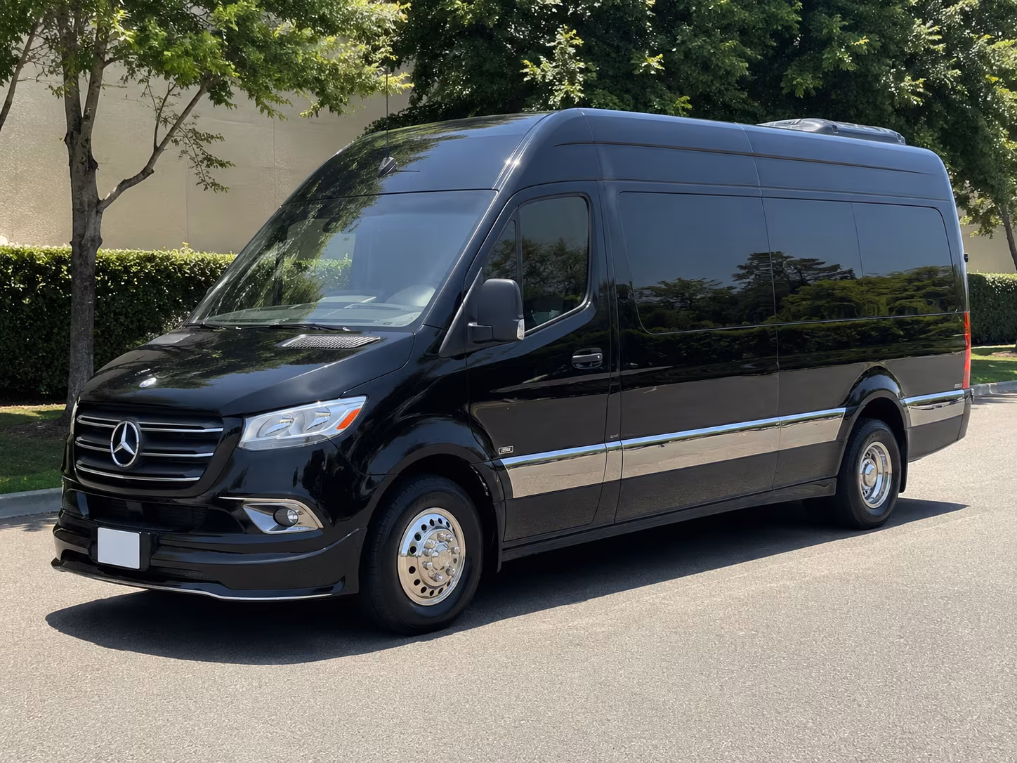 kid and tween birthday sprinter van parties in wilmington