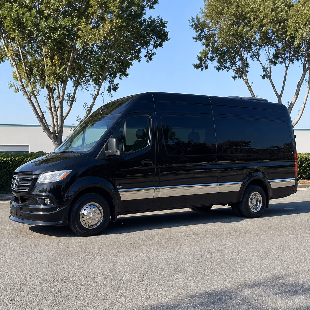 wilmington 12 passenger sprinter van
