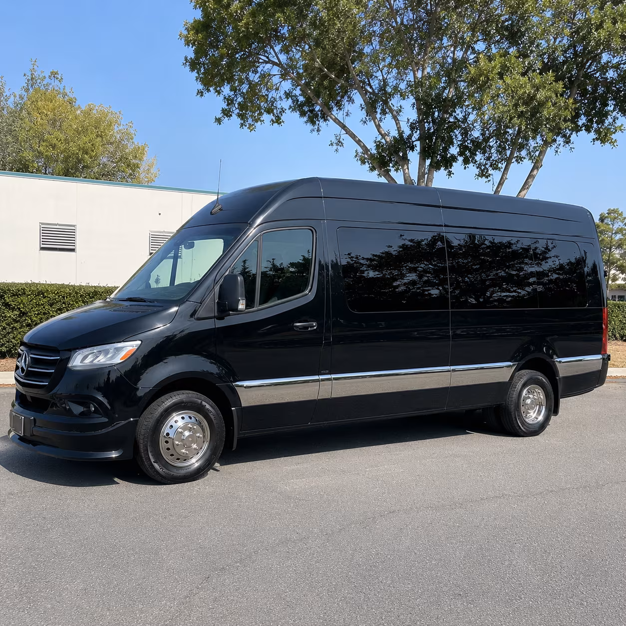 wilmington 20 passenger sprinter van